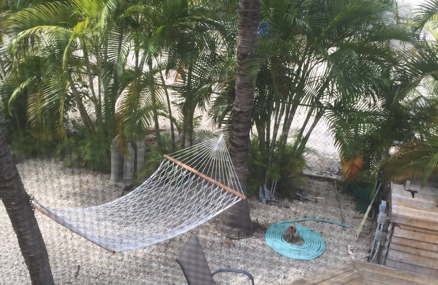 Discounted! Beautiful Key Largo home, hot tub, dock for boat on great canal!