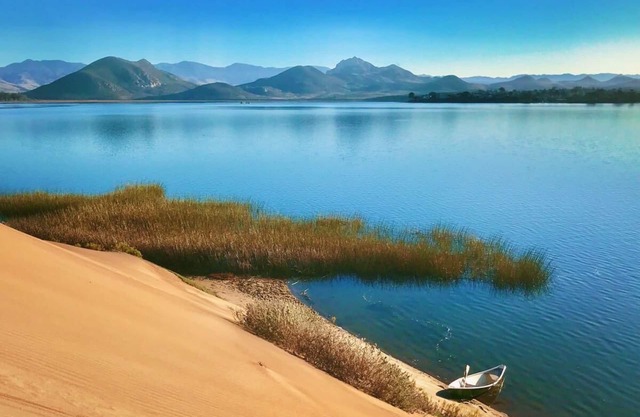 Dog Friendly, Allergen-free 5 minute walk to the bay and eateries