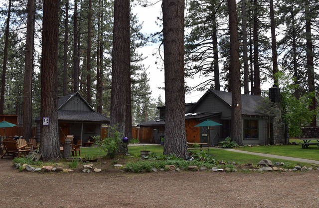 Dog Friendly Cabins