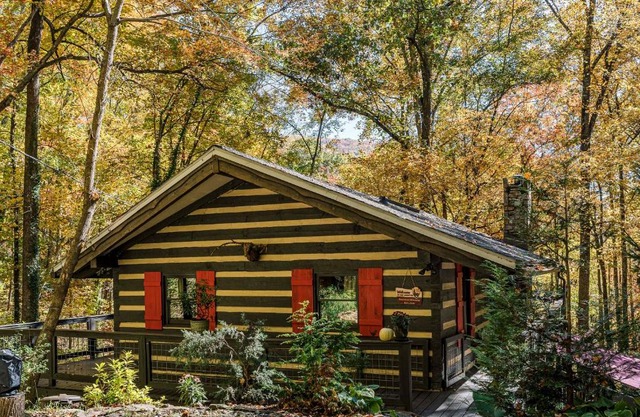 Dog-Friendly Cabin with Decks and Mountain Views!