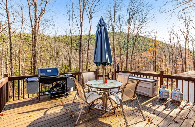 Dog-friendly home with pool table, firepit, wood stove, deck, grill, & WiFi