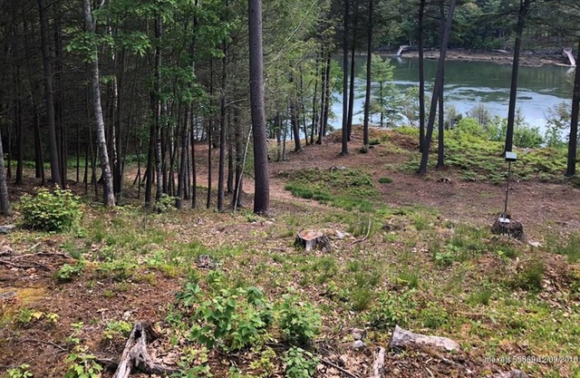 Dog-friendly riverfront home with private dock & gas grill
