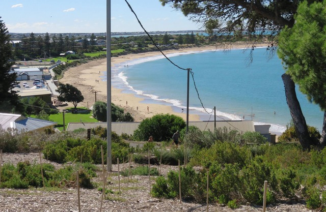 DOLPHIN 10 on Horseshoe Bay,Port Elliot