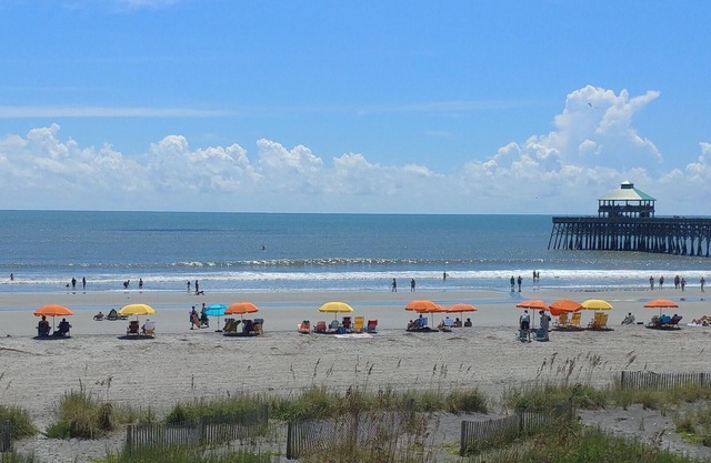 Dolphin Watch - Beachfront - Charming - Cozy - Boho hotel!