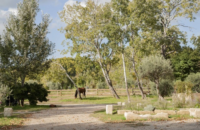 Domaine Cap Rubis, old oil mill charmingly renovated by an antique dealer.