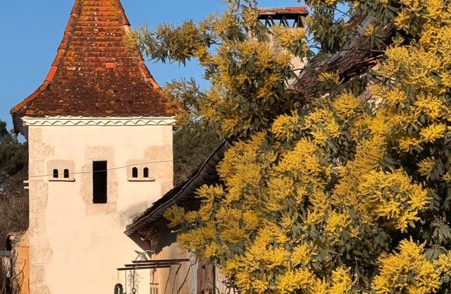 Domaine de La Contie – 17th-Century Chartreuse in the Heart of 20 Hectares of Nature