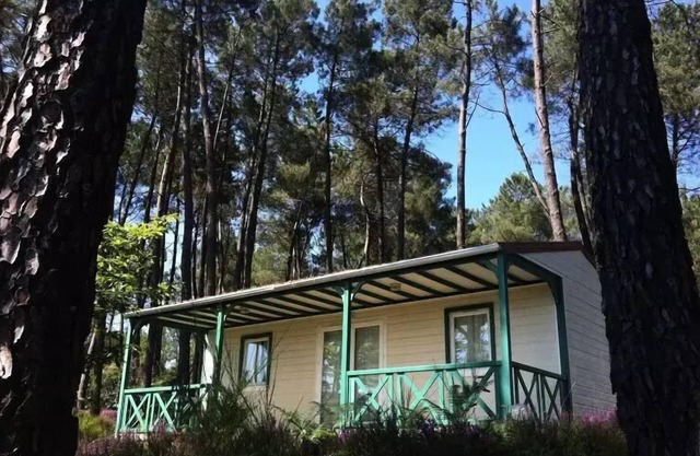 Domaine des Grands Pins * - Chalet Chataignier 6 people