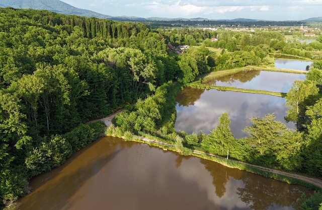Domaine du morbues cabin