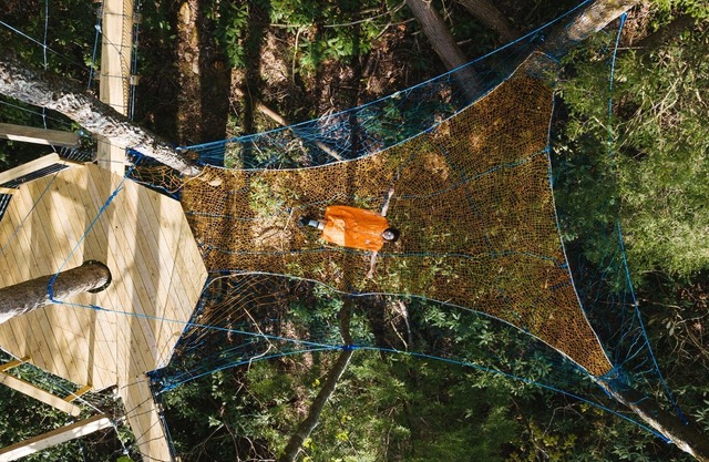 Dome Town: Book all 3 Dome Town Treehouses!