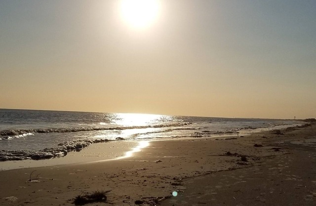 Donovan's Blue Crab Cove