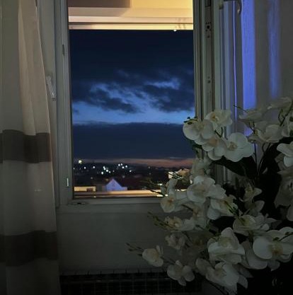 Down Town Apartment 2
