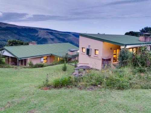 Drakensberg Vultures View