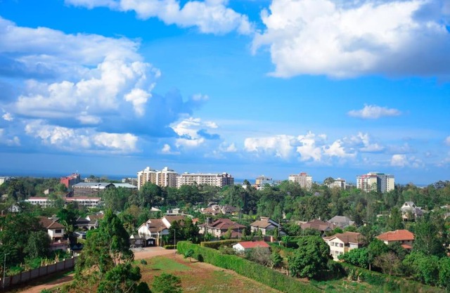 Dream View Apartment near Safari Park Hotel