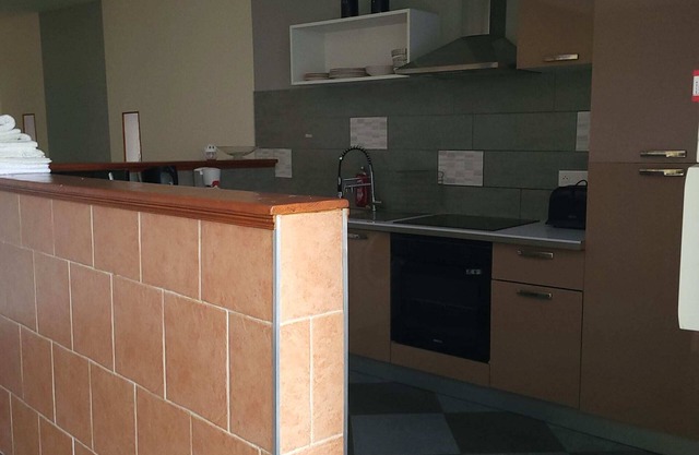 DUPLEX FACING THE LOIRE (APT N°03)
