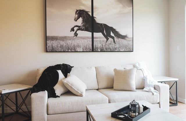 Ebony and Ivory, Stephenville’s newest townhome