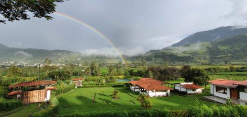 Eco Avocado Lodge