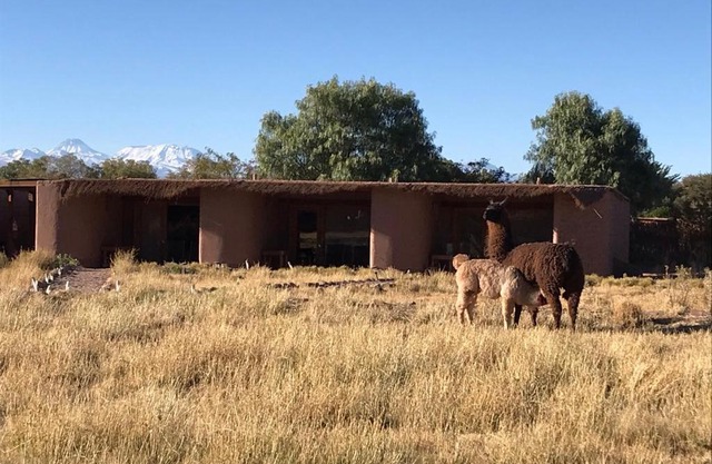 Eco-Lodge El Andinista