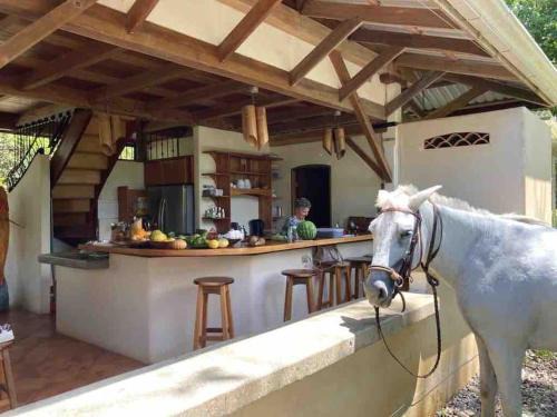 Eco Lodge near Corcovado, 400m to Beach on a Peaceful Private Reserve