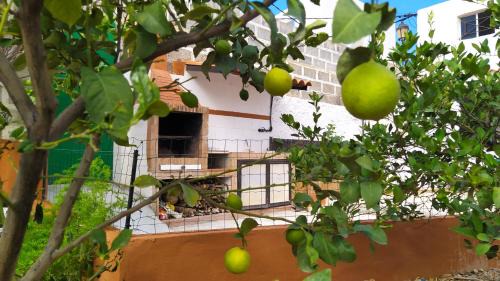 Edara Home - Vivienda completa