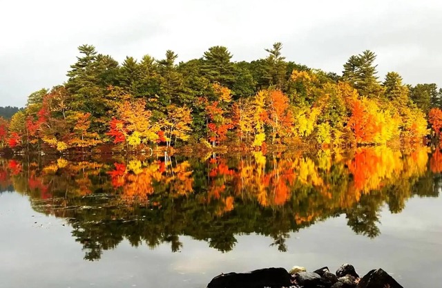 Edgewater Retreat on Little Sebago Lake - Lakefront w/Sauna & EV Chargernn