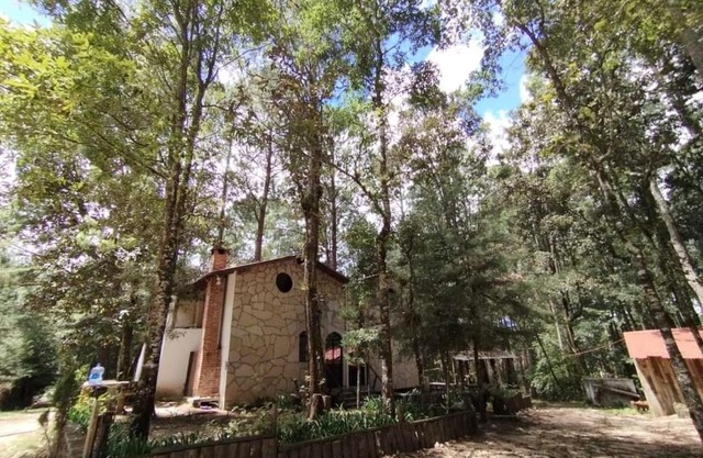 El Búho, cabañas, camping, trailer park