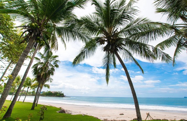 Elegant 3BR Beachfront Condo with Spacious Interior, Ocean-View Terrace & Direct Access to Playa Flamingo
