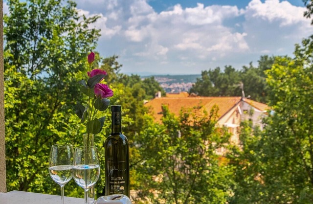 Elegant apartment Mike 6 with balcony and sea view