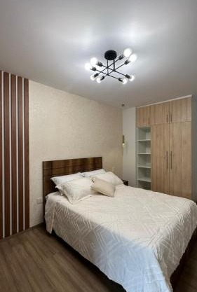 Elegant studio apartment A2