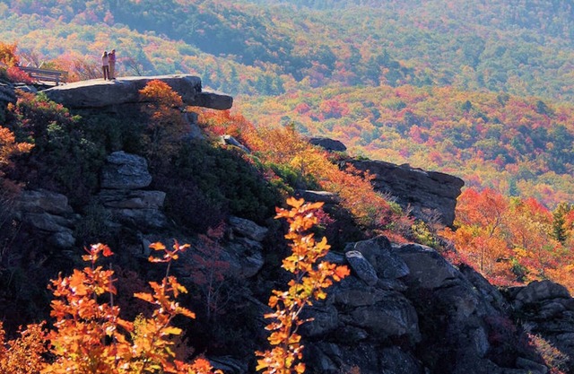 Elk Hill Escape Cozy Luxe in Banner Elk. See Grandfather Mtn, Boone, Wineries