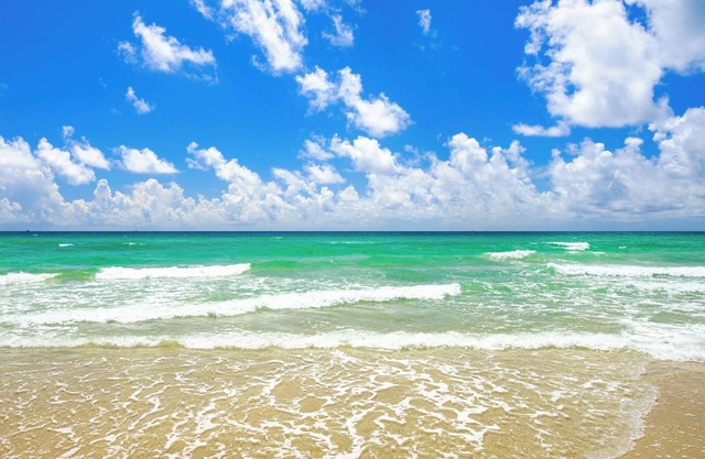 Enchanted Isle Resort 1 Bedroom Kitchen sleeps 4n Avail week Oct 25-Nov 1