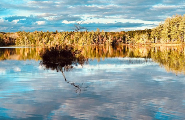 Enjoy Fall Foliage at Serene Waterfront Retreat on 2+ Acres with Private Dock