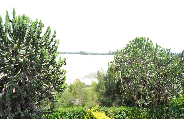Enjoy Your Stay at Astorian Panda Villas five minutes from Naivasha Town -Kenya