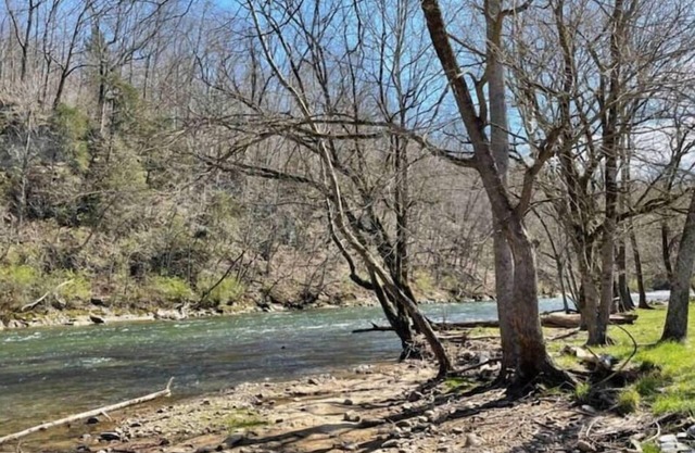 Entire 2 bed 1 bath apt in Johnson City