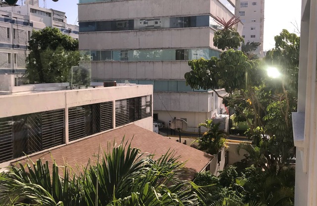 Entire & Exclusive Comfortable Prime Location Art apartment. An Oasis in The City