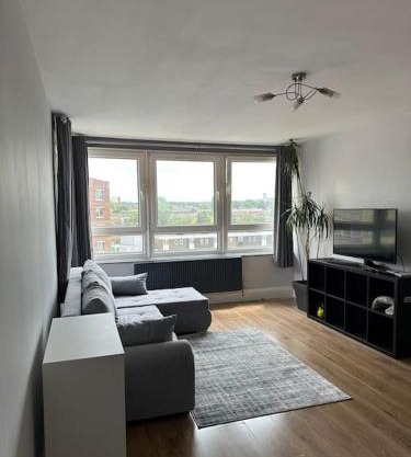 Entire flat with big living room, bedroom, balcony