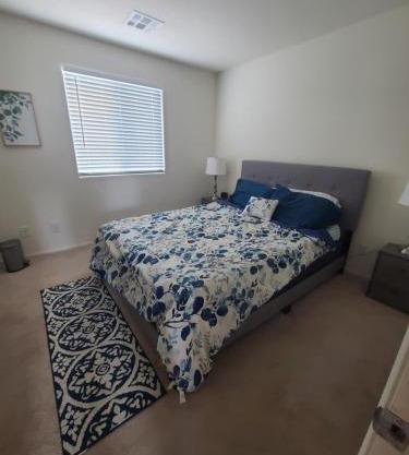 Entire Guest Suite With Bedroom, Lounge, Bath, and Laundry