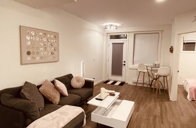 ENTIRE LUXURY 2 bedroom/ 1 bath condo