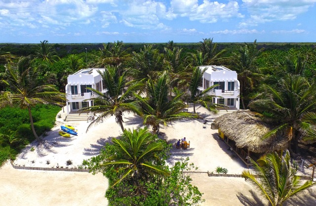 Entire Resort! Free Snorkeling & Reef Fishing Tours, 3 Condos