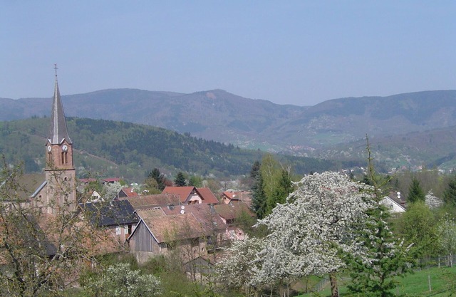 Escape to a Romantic Hideaway & Remote Work Haven in the Mountains, pet friendly