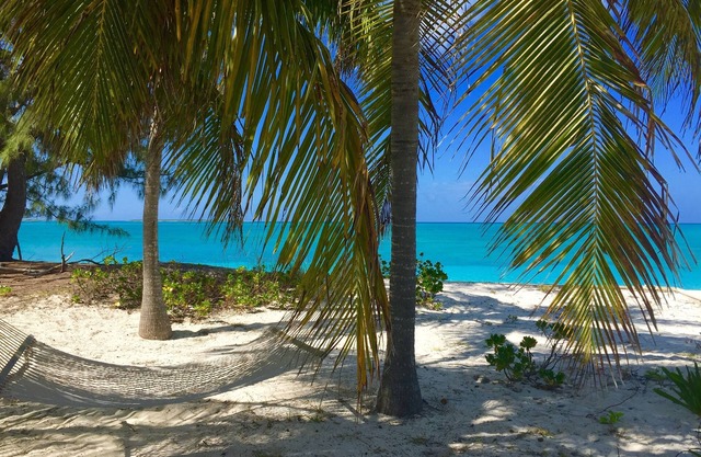 Escape to Paradise On Tar Bay, 2 person Kayak and 2 Paddle Boards included!