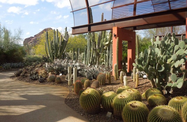 Escape to the Great Outdoors! 2 Serene Units, Minutes to Golf, Camelback Mtn.