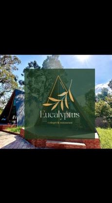 Eucalyptus Cottages