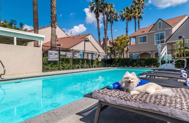 Everything You Need For The Perfect Vacation! Large Unit w/ Kitchen! Onsite Pool