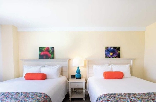 Explore the Best of Christiansted Right from Your Comfortable Waterfront Room