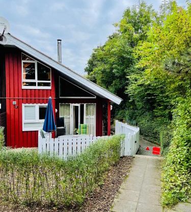 Extertal-Ferienpark - Premium Ferienhaus Sonnental - Sauna #50