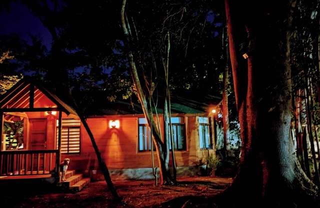 Free pet-friendly nice Cabin/Wifi/AC/Kitchen/Grill