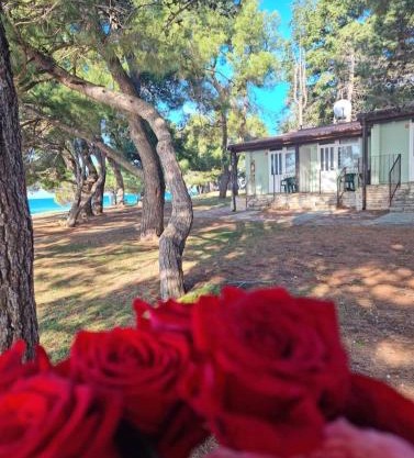 Family Bungalow Pineta