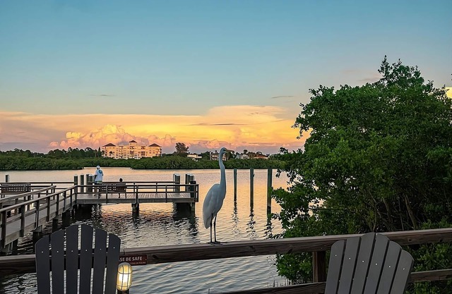 Family Getaway! Two Amazing Units, Kitchen, Bbq Facilities, Outdoor Pool!