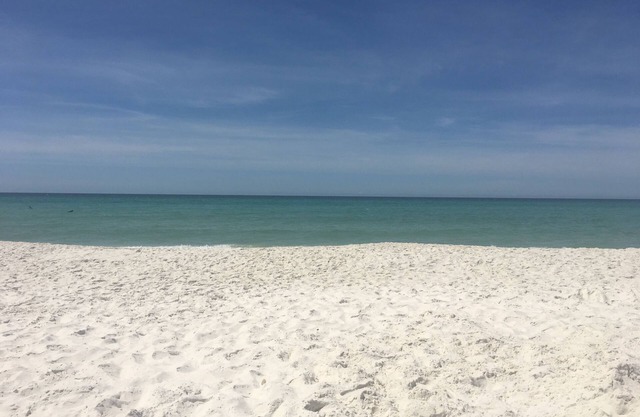 Family & Pre-Approved Pet Friendly Condo No elevators 3 bedrooms 3 bathrooms