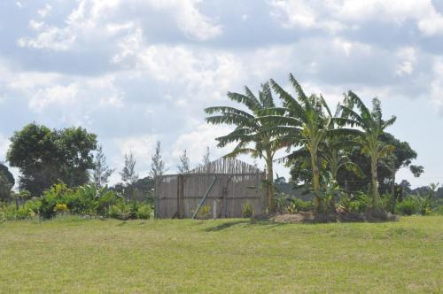 Farming In Rhythm